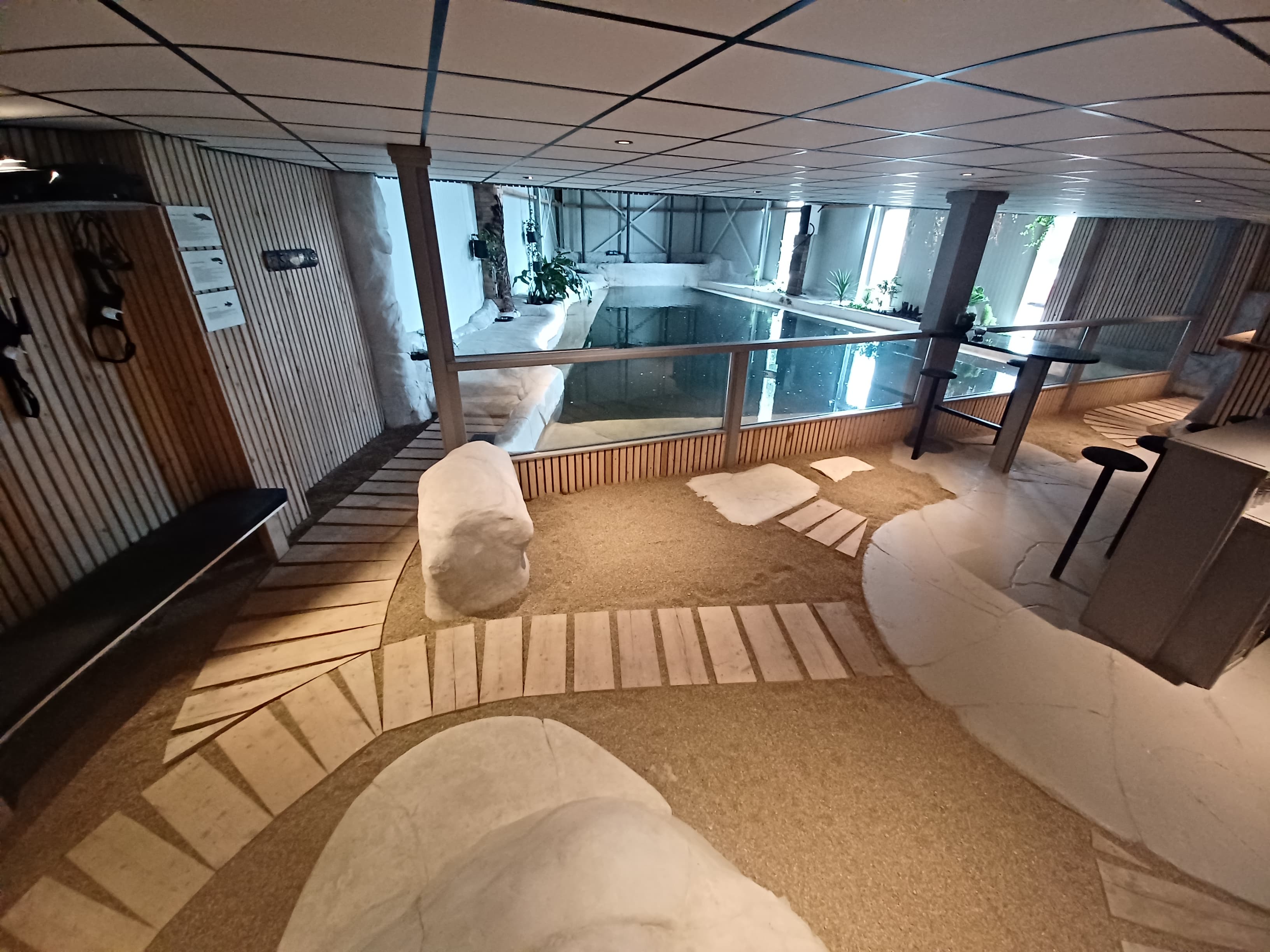 Bezoekers in het bassin van Fish World