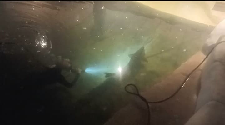 Onderwaterbeeld Fish World